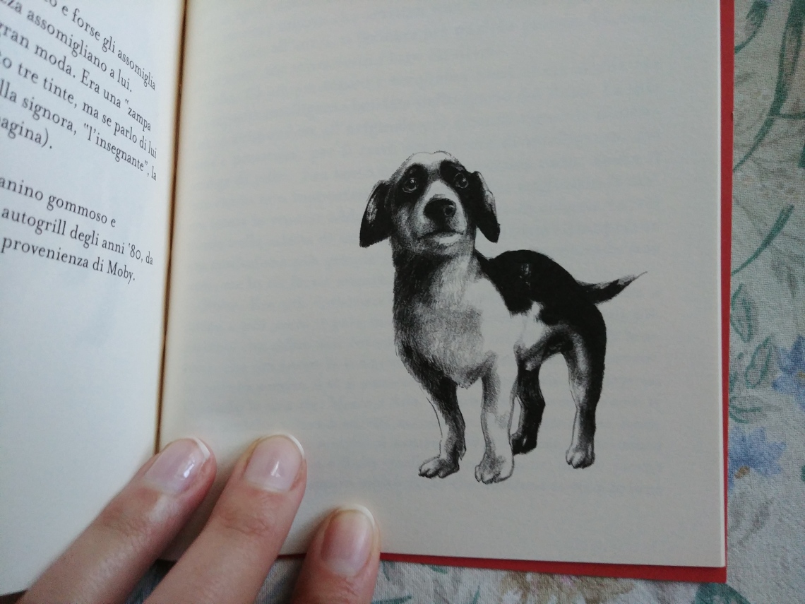 vecchi cani leggiamolo strano illustrazione 2.jpg